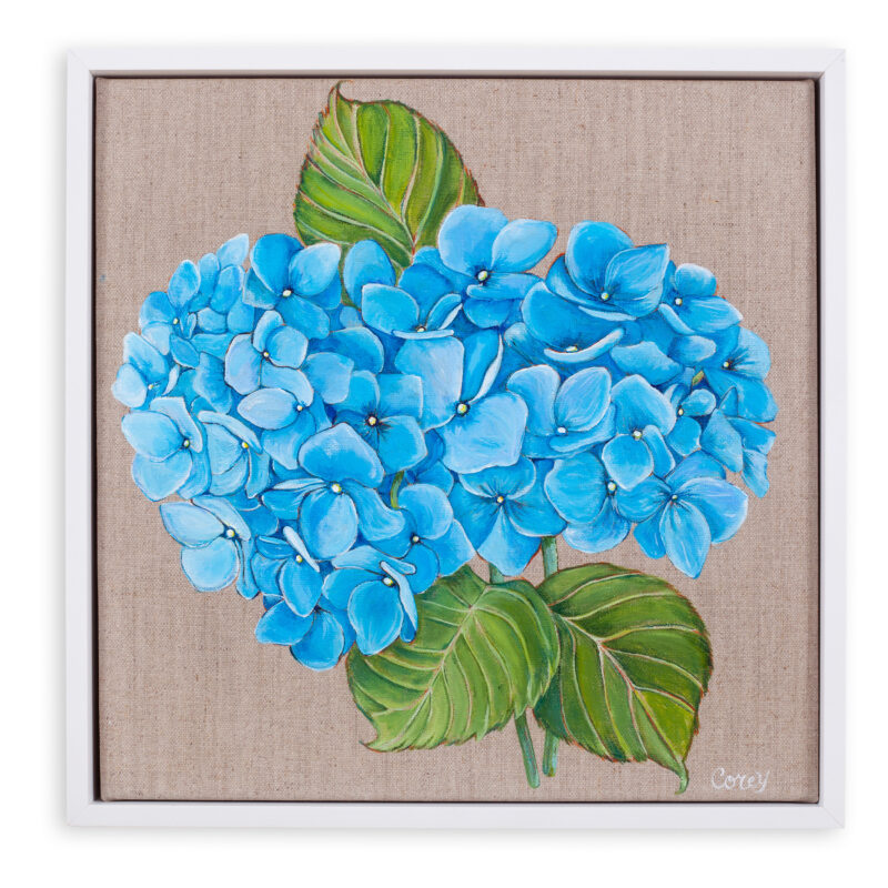 Blue Hydrangea