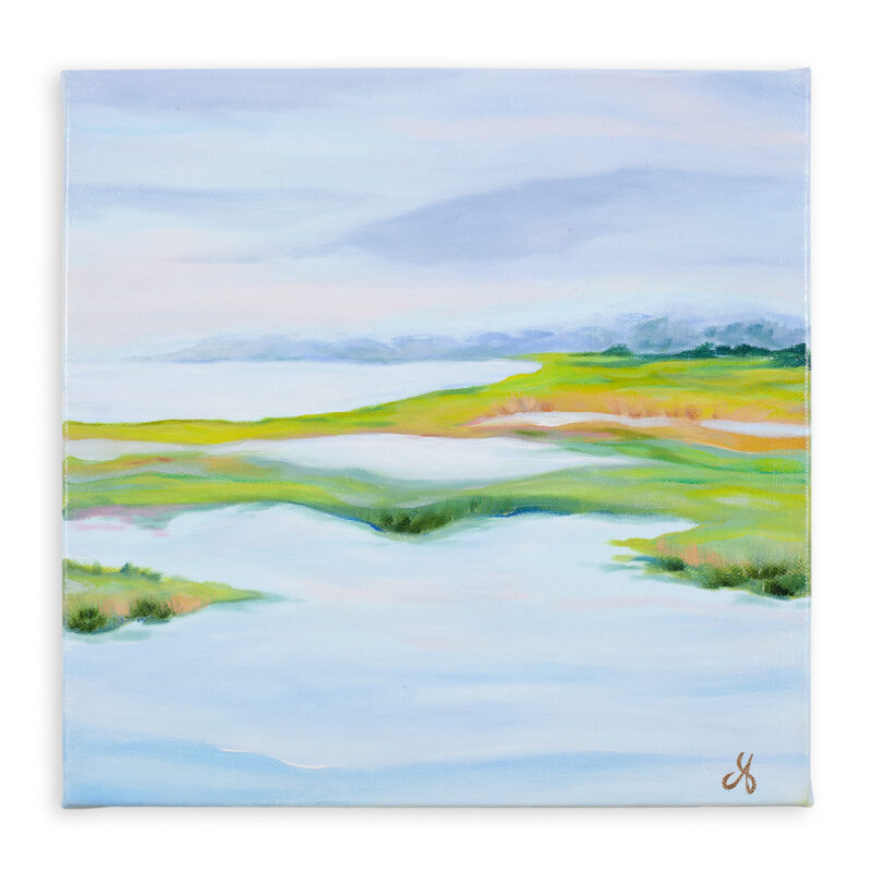 Misty Marsh Landscape