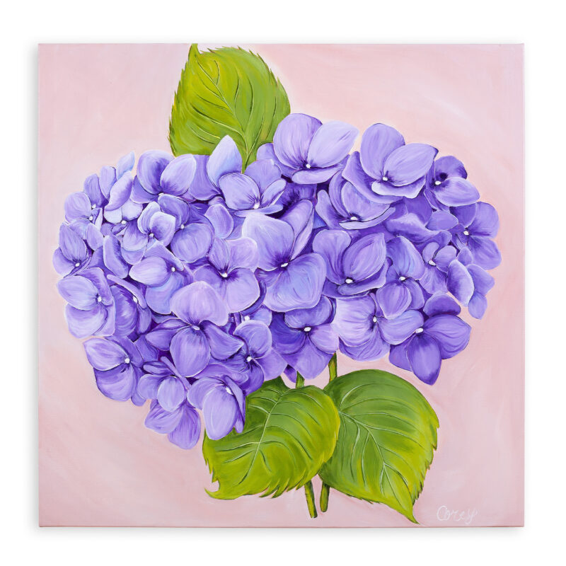 Purple Hydrangea